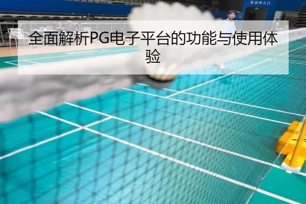 全面解析PG电子平台的功能与使用体验