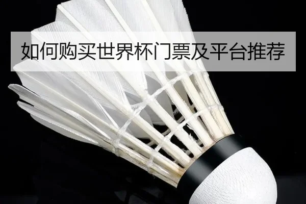 如何购买世界杯门票及平台推荐（PG）